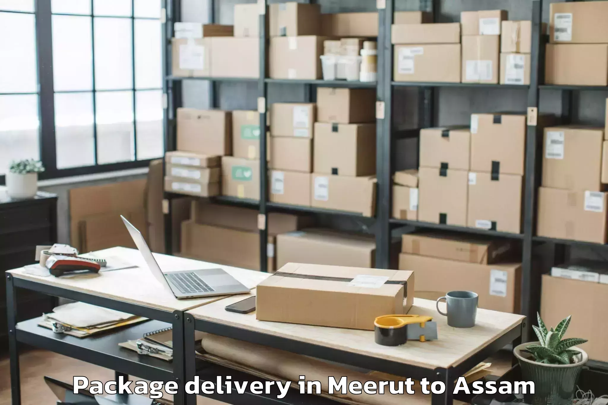 Book Meerut to Dotma Package Delivery Online